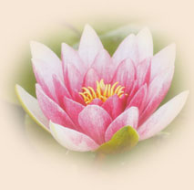NAMASTE von Yogaforyou :-) NAMASTE von Yogaforyou :-)